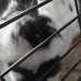Isaac Dewitt - Facebook