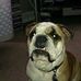 Isaac Dodd - Facebook