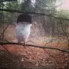 Isaac C. Downey - @isaac.c..downey - TikTok