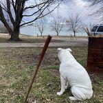 Isaac Downing - @audioike - Instagram