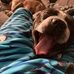 Isaac Dyck - Facebook