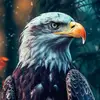 EAGLE - @isaaceagle - TikTok