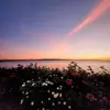 Isaac Eberhard - @isaac.eberhard - TikTok
