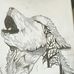 Isaac Egan - Facebook