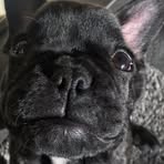 Isaac Eldridge - Facebook