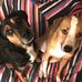 Isaac Ernst - Facebook