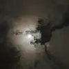isaacernst56 - @hihihihihihihihihihih692 - TikTok