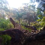 Isaac - @isaac__ervin - Instagram