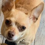 Isaac Estes - @hey_its_isaac_estes - Instagram
