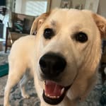 Isaac Fein - @isaac.fein - Instagram