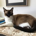 Isaac Feingold - @feingoldisaac - Instagram