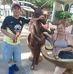 Isaac Geyer Ferrer - Facebook