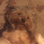 Isaac Ferris - @isaacferris - Instagram