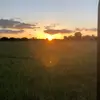 Isaac Forbes - @isaacforbes4 - TikTok