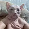 Isaac Fowler - @s550.isaac - TikTok