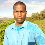 Isaac Golden - @isaacgolden488 - Instagram