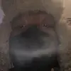 Isaac Grayson - @user8323640099624 - TikTok