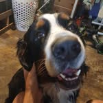isaac gregg - @isaac739166 - Instagram