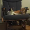 Isaac - @isaac.gregg6 - TikTok