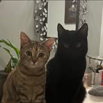 Isaac Groves - Facebook