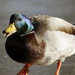 IsaacJamesGroves - @_isaac.groves_ - Instagram