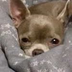 Isaac Hancock - @isaac.hancock.773 - Instagram