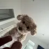 hannah - @hannah.isaacc - TikTok