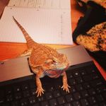 Isaac Hauser - @isaac_hauser - Instagram