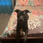 Hayden Isaac - @haydenisaac50 - Instagram