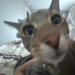 Isaac Heckman - @heckman_isaac - Instagram
