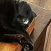 Isaac Helms - Facebook