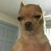 Isaac Herbert - Facebook
