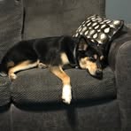 Isaac Hoffmaster - Facebook