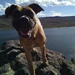 Isaac Hogan - @eyesac_hoagie - Instagram