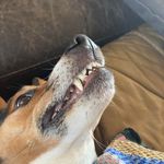 Isaac Hogan - @isaac_hogan142 - Instagram