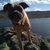 Isaac Hogan - Facebook