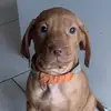 Isaac.hu11 - @isaac.hu11 - TikTok