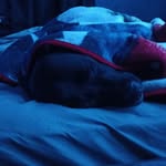 Isaac Huffman - @isaachuffman_14 - Instagram