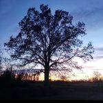 Isaac - @isaachufffman - Instagram