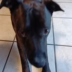 Isaac Huffman - Facebook