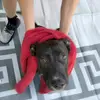 Isaac Huffman - @isaac.huffman3 - TikTok