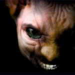 Isaac Jameson Bushner - @isaacb0925 - Instagram