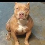 Isaac Jefferson - @isaacjefferson72 - Instagram