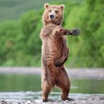Isaac Lamb - @isaac.k.lamb - Instagram
