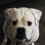 Isaac Langemo - @isaaclangemo - Instagram