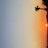 Apple User377585 - @isaaclatham - TikTok