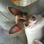 Isaac Latham - @monkeyman0401 - Instagram