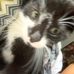 Isaac Latham - Facebook