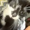 isaaclatham2 - @isaaclatham2 - TikTok