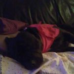 IsaacLatham - @_isaac_latham_ - Instagram